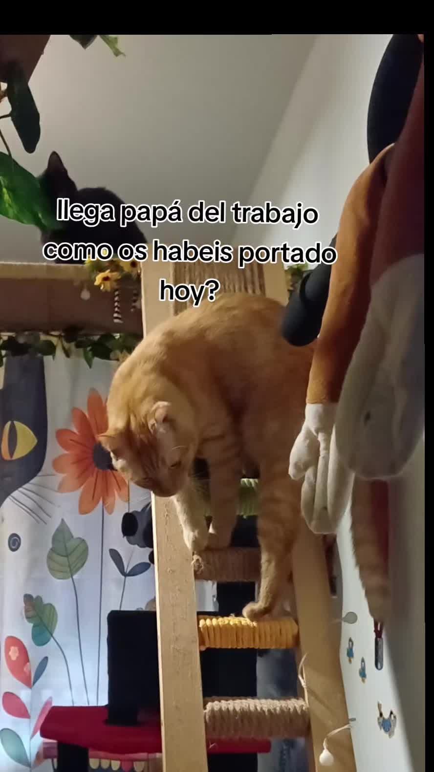 @Ana y los cuatro🐾