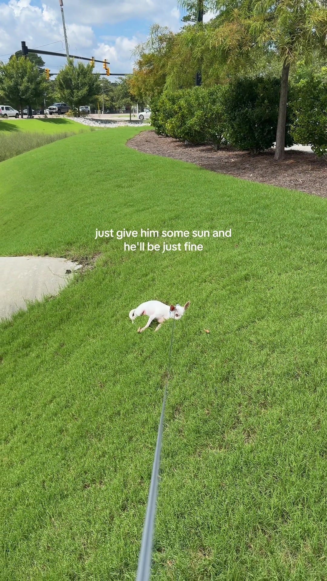 @G