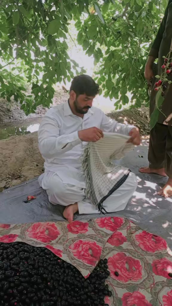 @ambarsariya