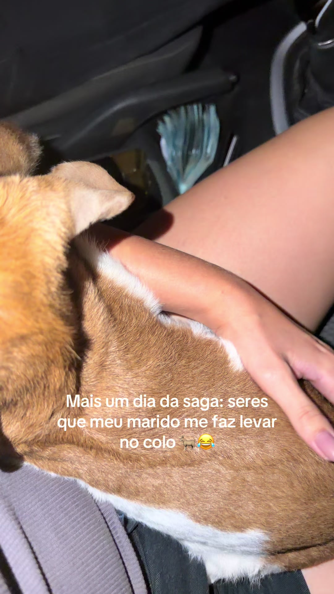@Eloiza Andrade