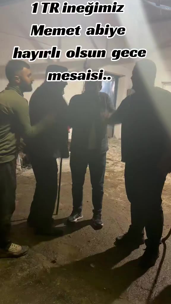 @Mıraz Demir