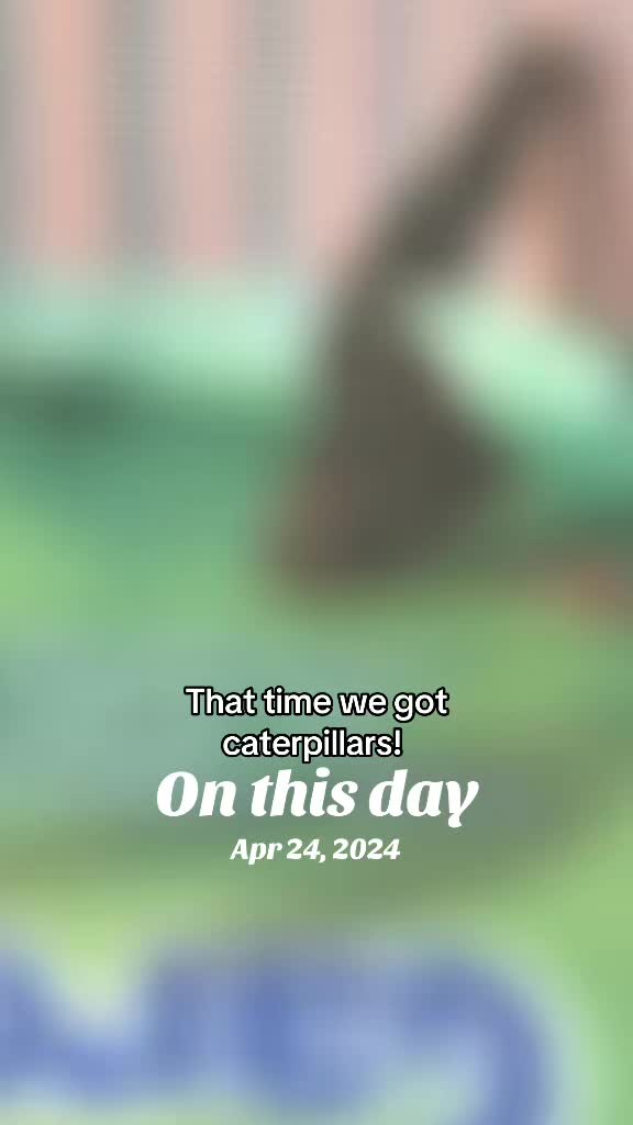 @𝓒𝓪𝓵𝓵 𝓜𝓮 𝓒𝓻𝔂𝓹𝓽𝓲𝓬