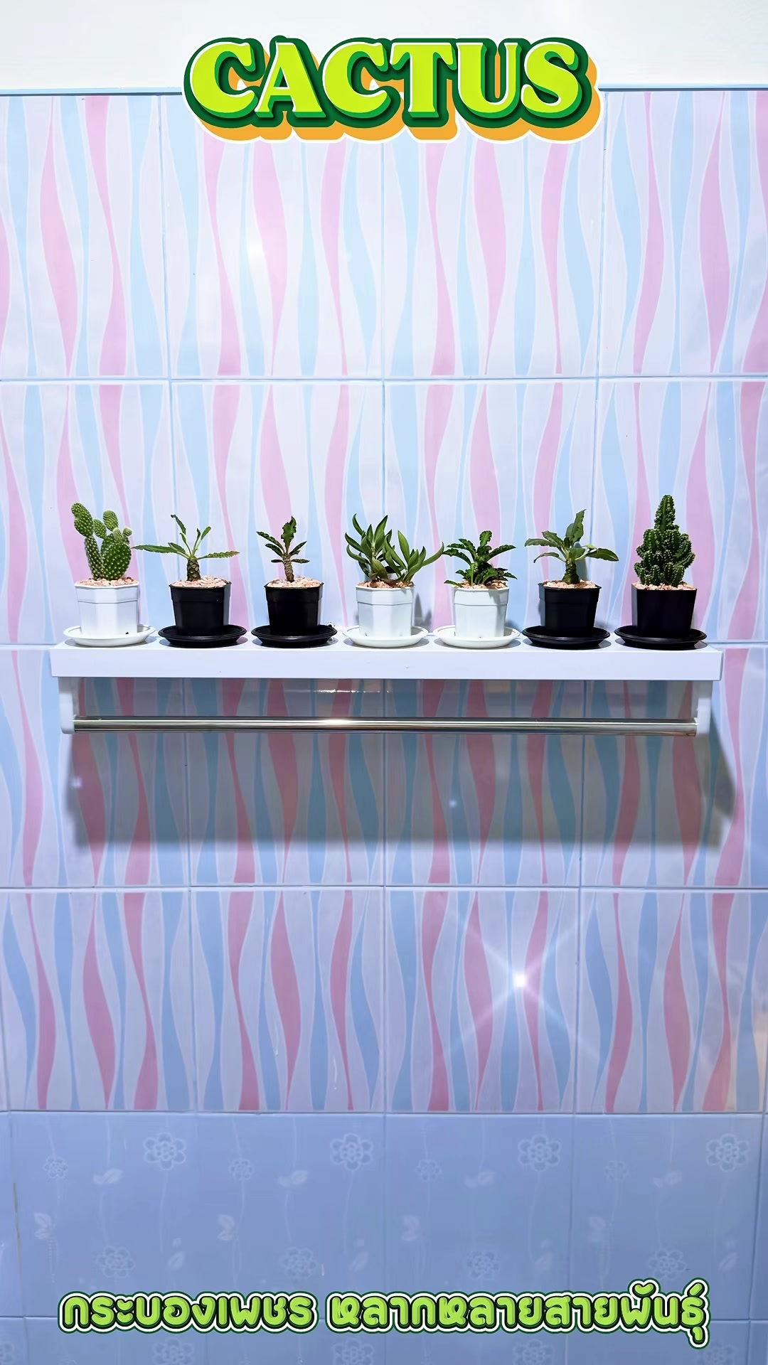 @ɢ ʀ ᴏ ᴘ ɢ ʀ ᴀ ᴘ