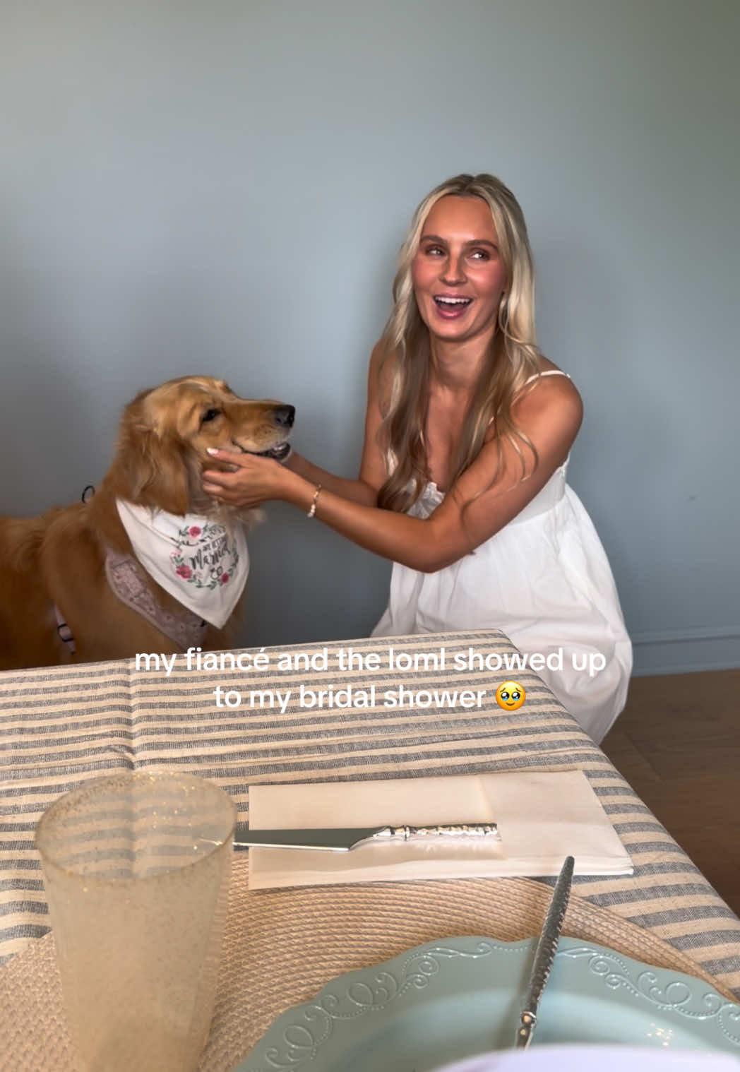 @novathegoldenn