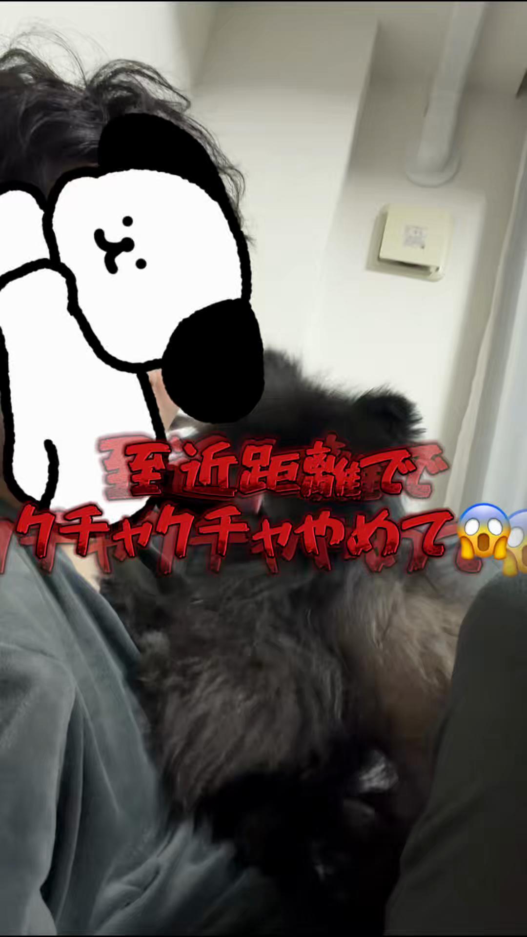 @黒ポメのえんま🐻🍿
