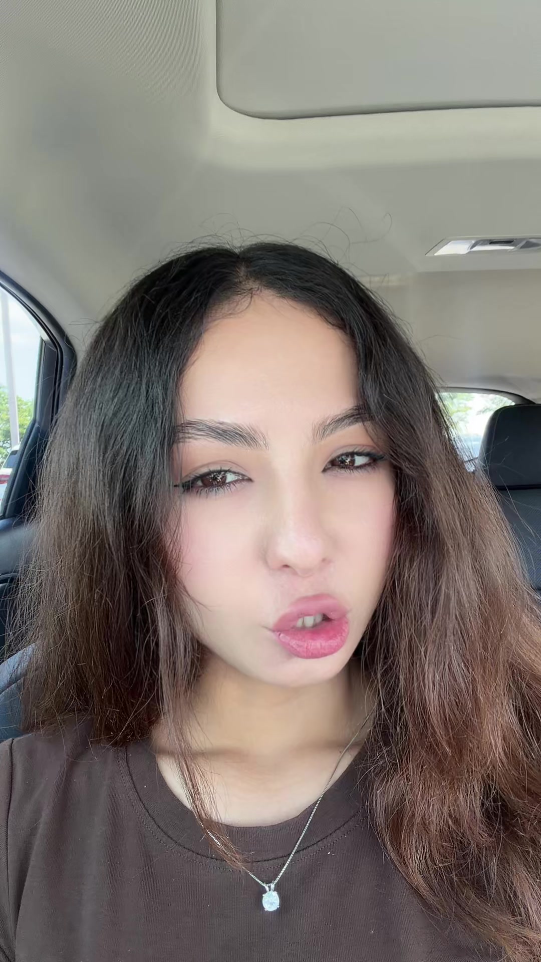 @safinspage