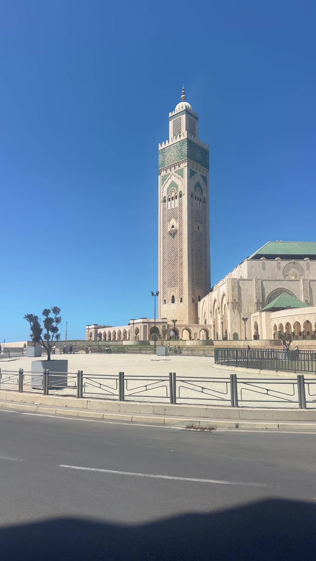 @anware Elhajjajy