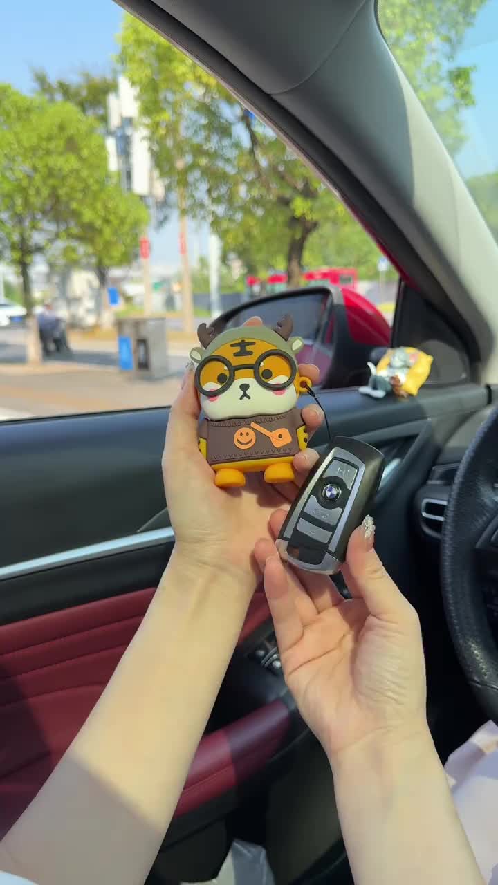 @carmallpro.com