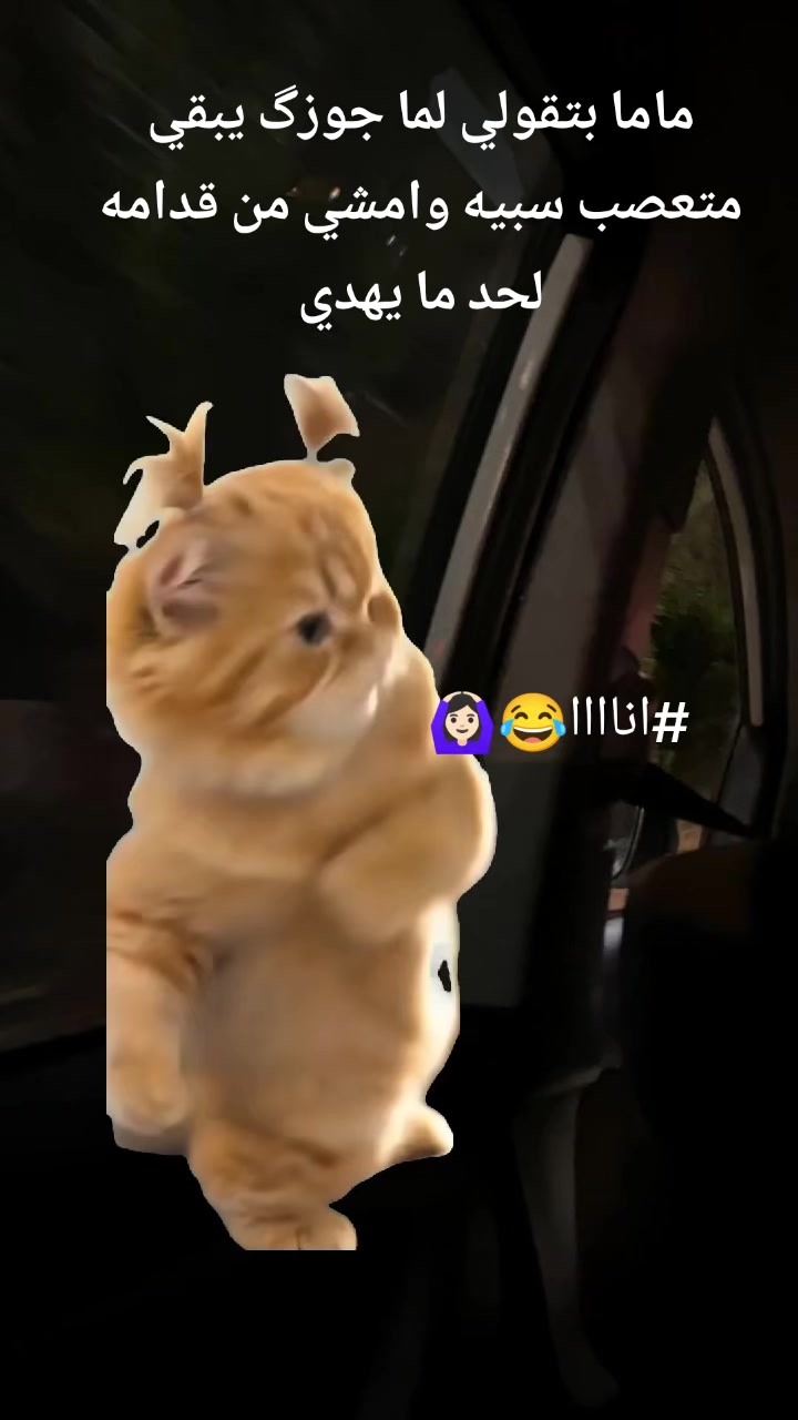 @𝑺𝑨𝑭𝒀 𝑴𝑶𝑯𝑨𝑴𝑬𝑫