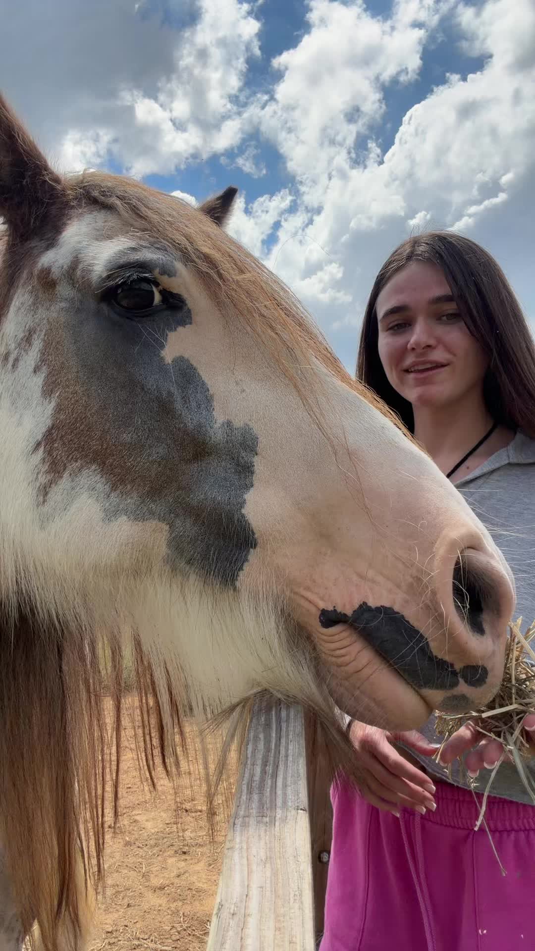 @Megnutt02