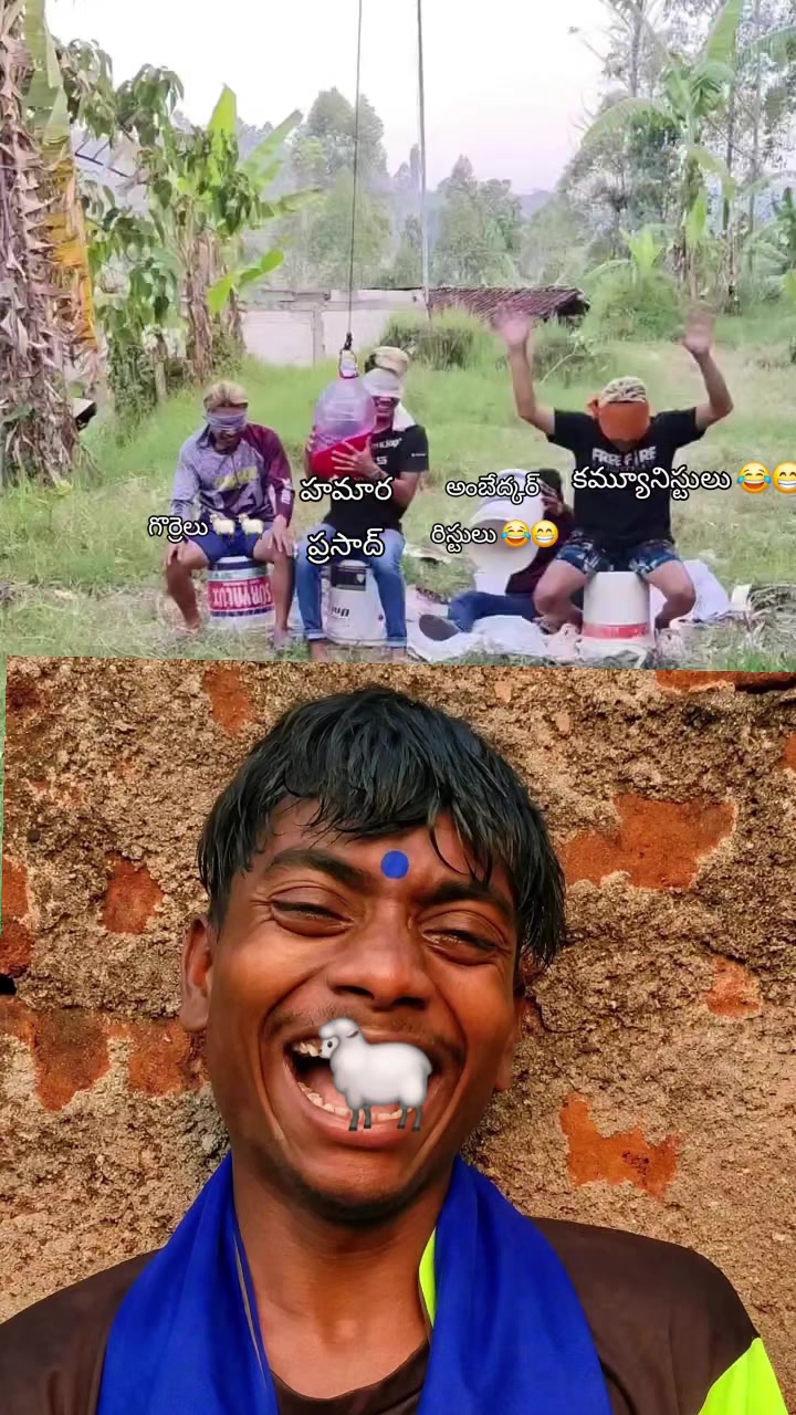 @user79538276275