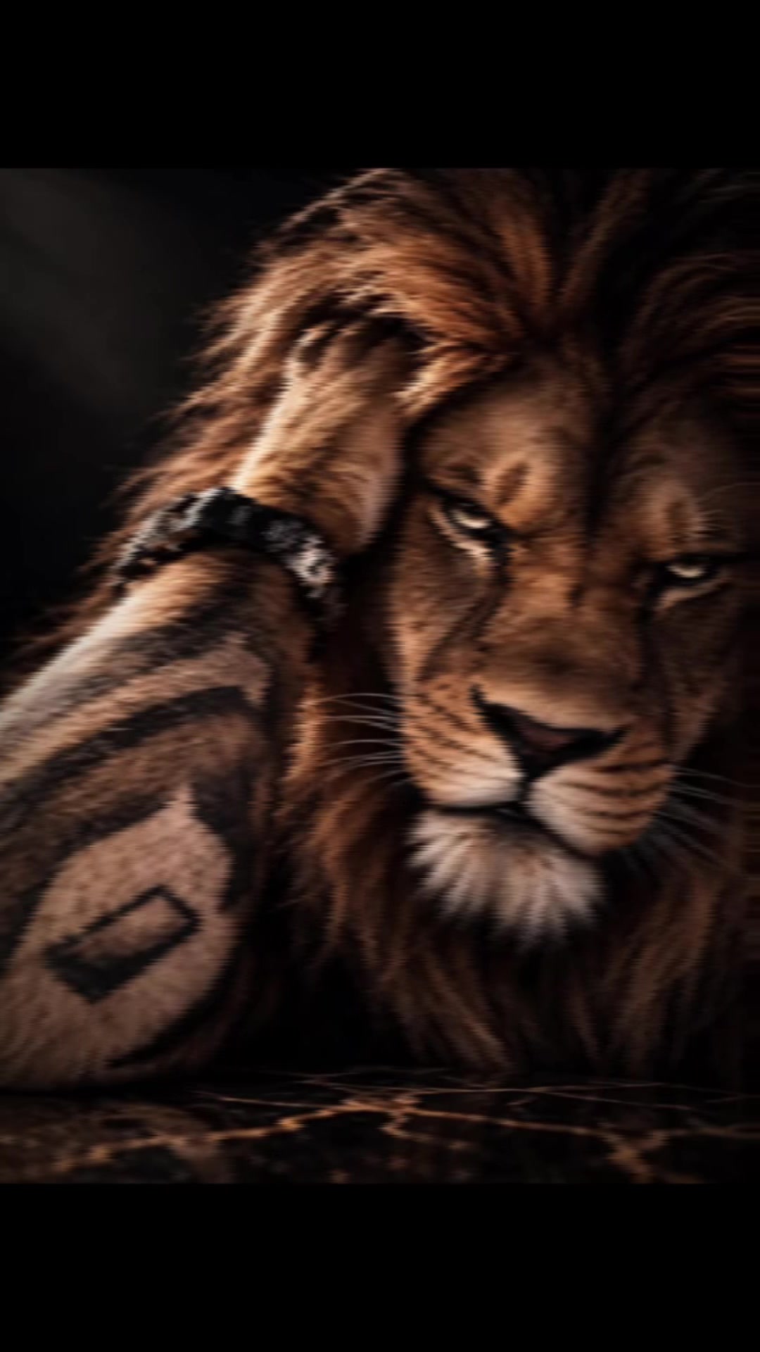 @𝐊𝐈𝐍𝐆 𝐎𝐌𝐙👑