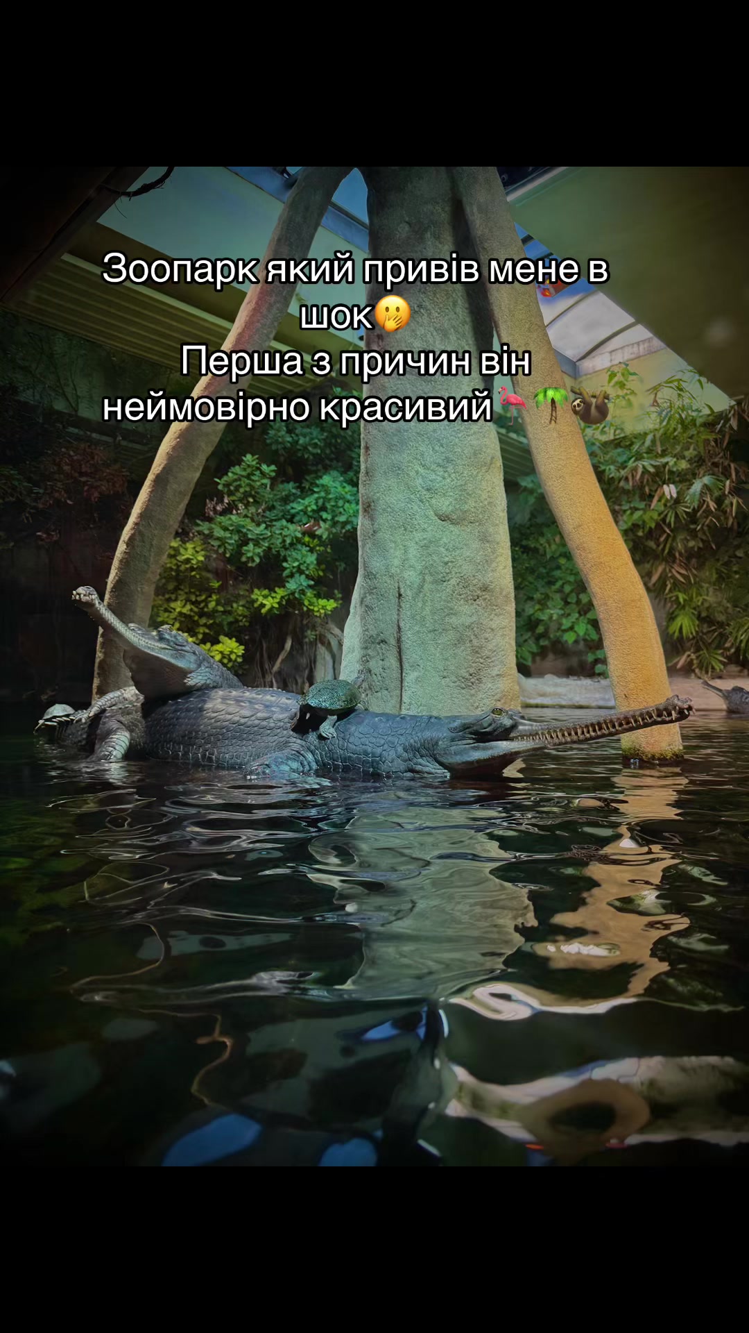 @_olhaaaaaaa____