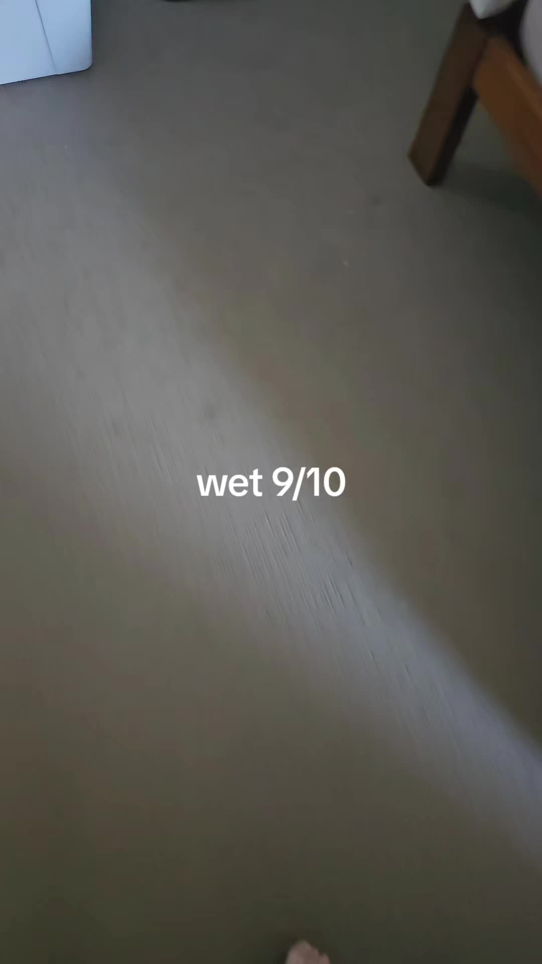 @itsjustfarts