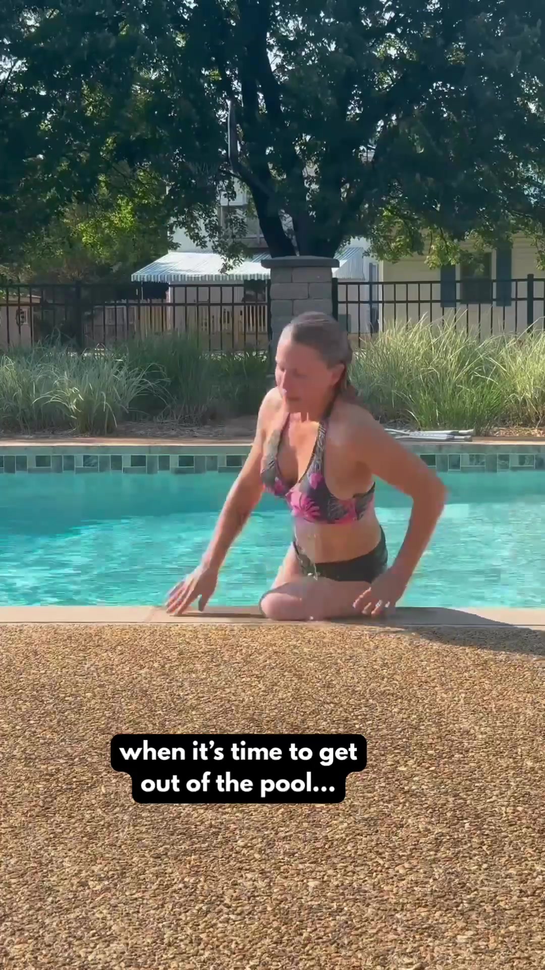@pawsandamptics