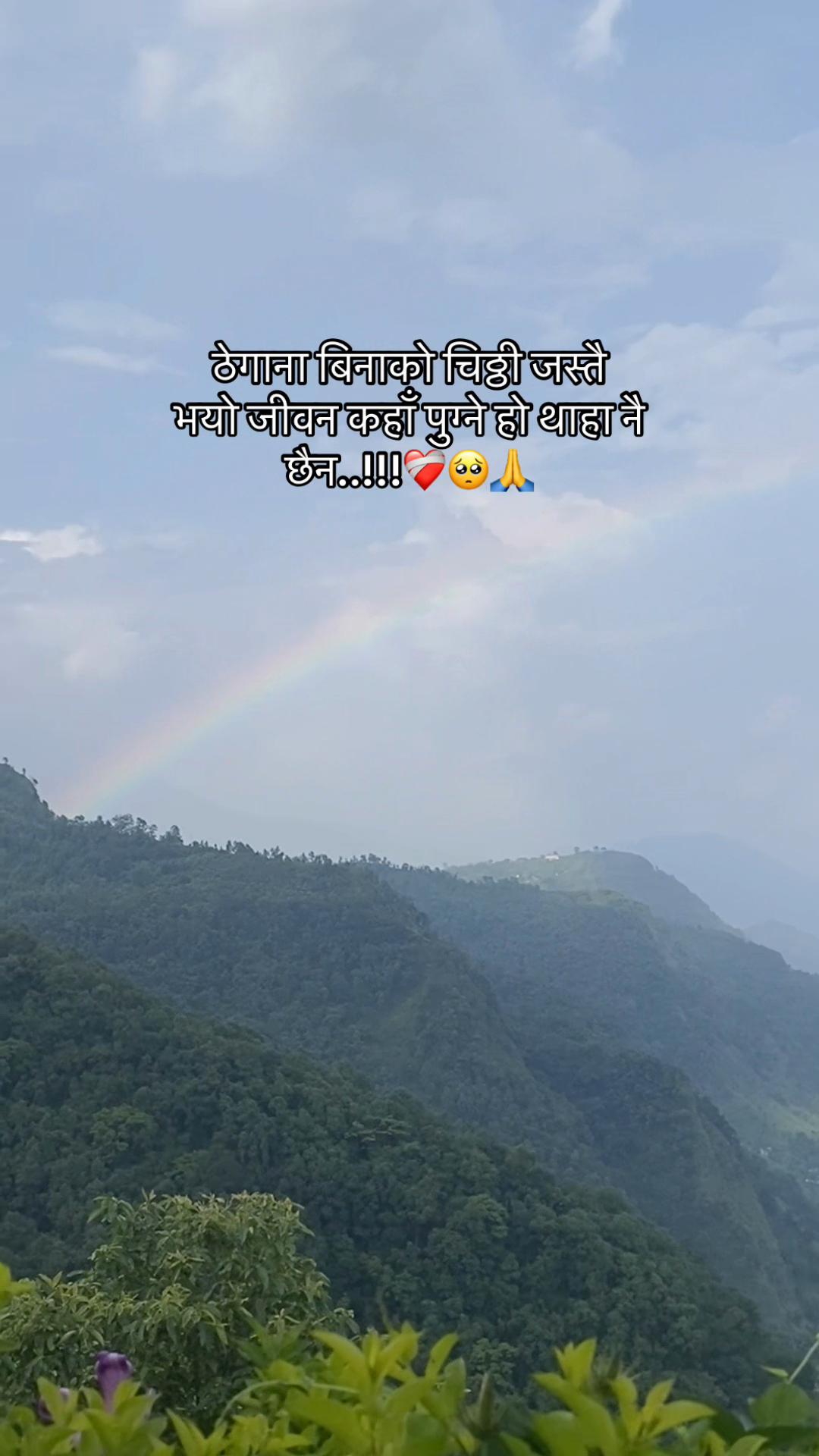 @☮️🕊️
