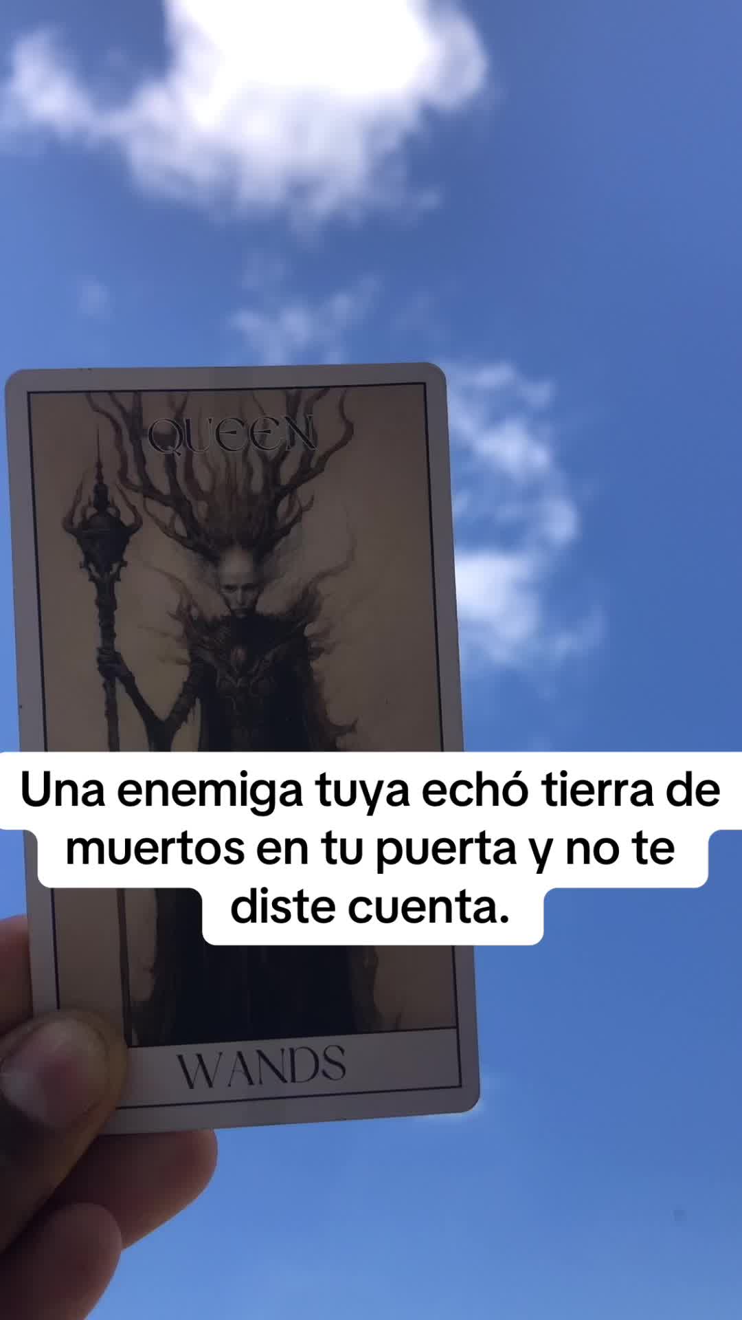 @San Miguel Tarot Sin Secreto🔯