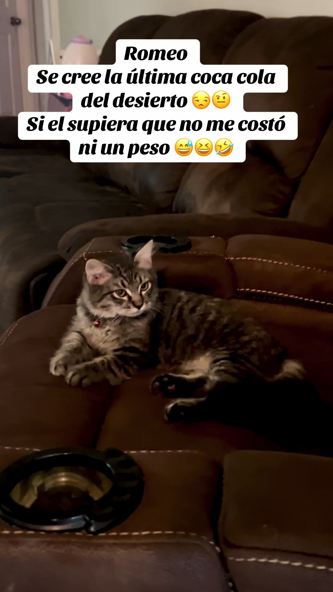 @💕🦍🃏BRI💐🤌🥀🤴