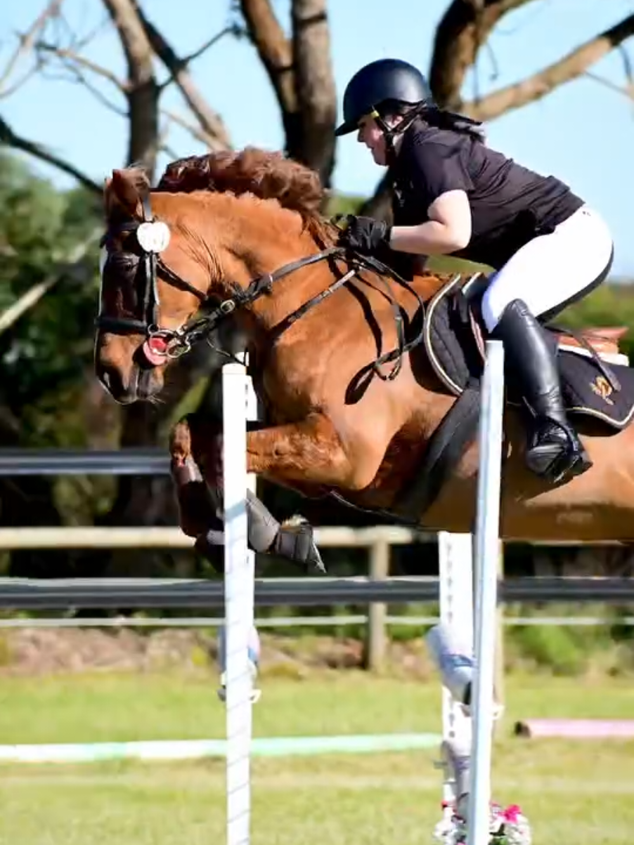 @Pip_equestruan9