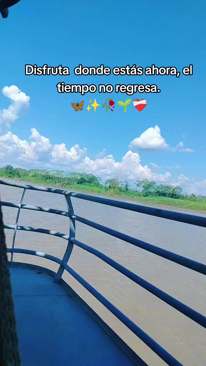 @Violeta