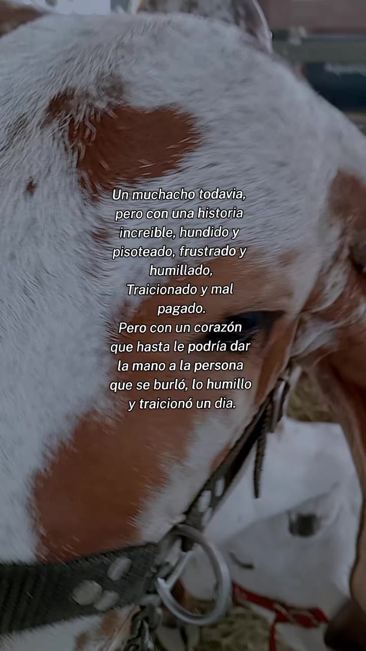 @DeTodoUnPoco😎