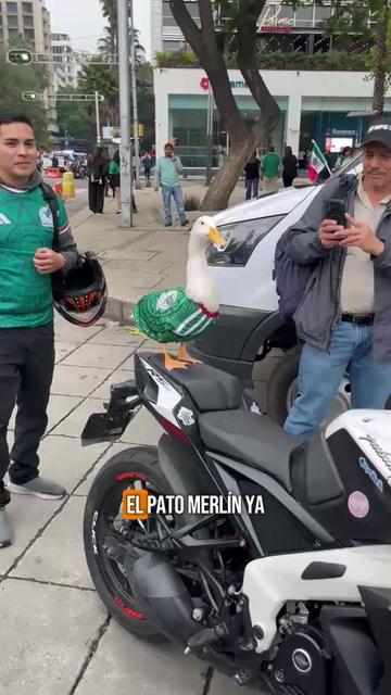 @Así Sucede León Noticias