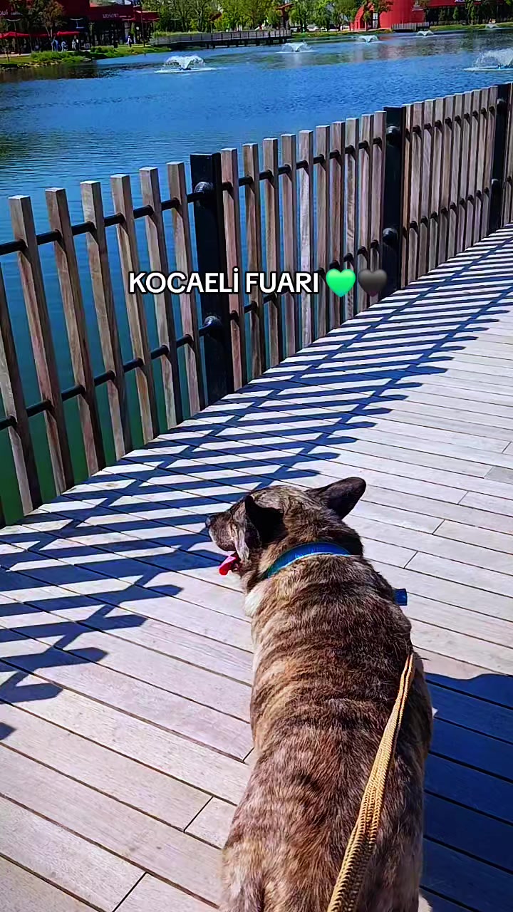@GEZGİN KADIN 🖤💚🖤