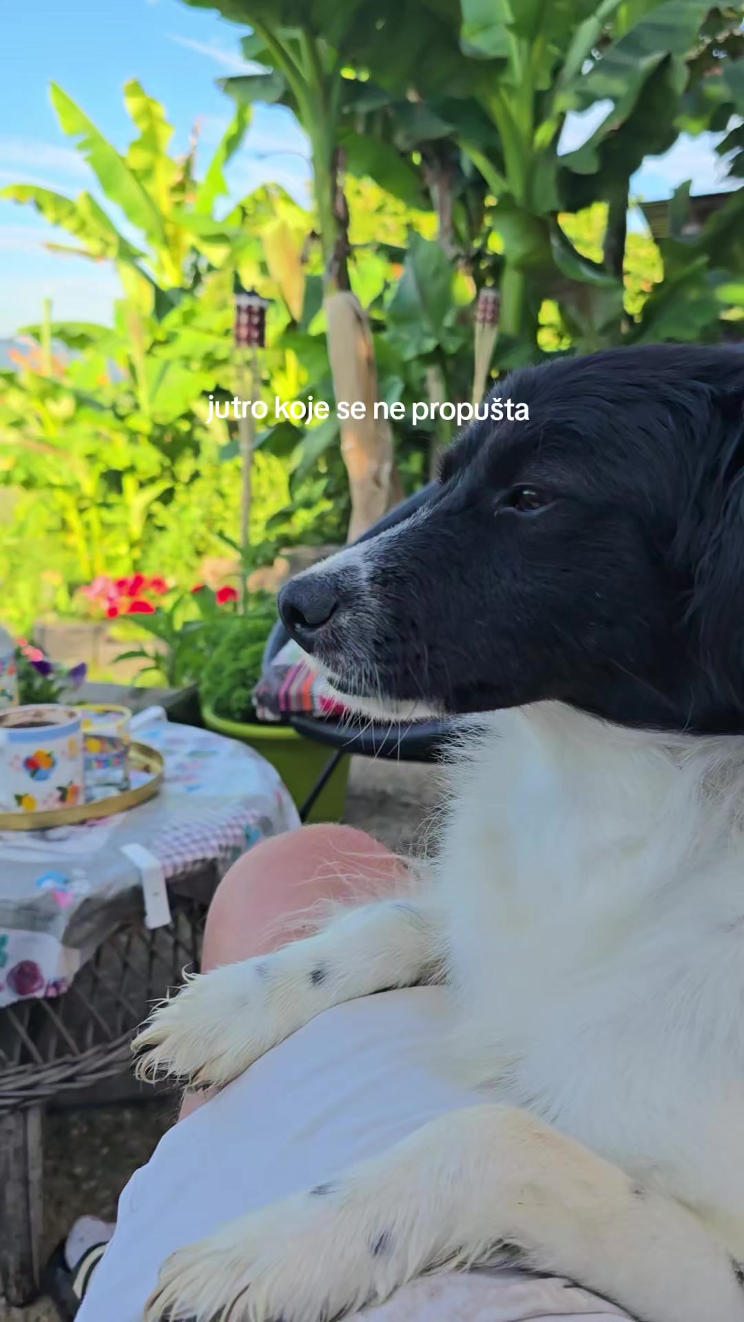 @patkograd