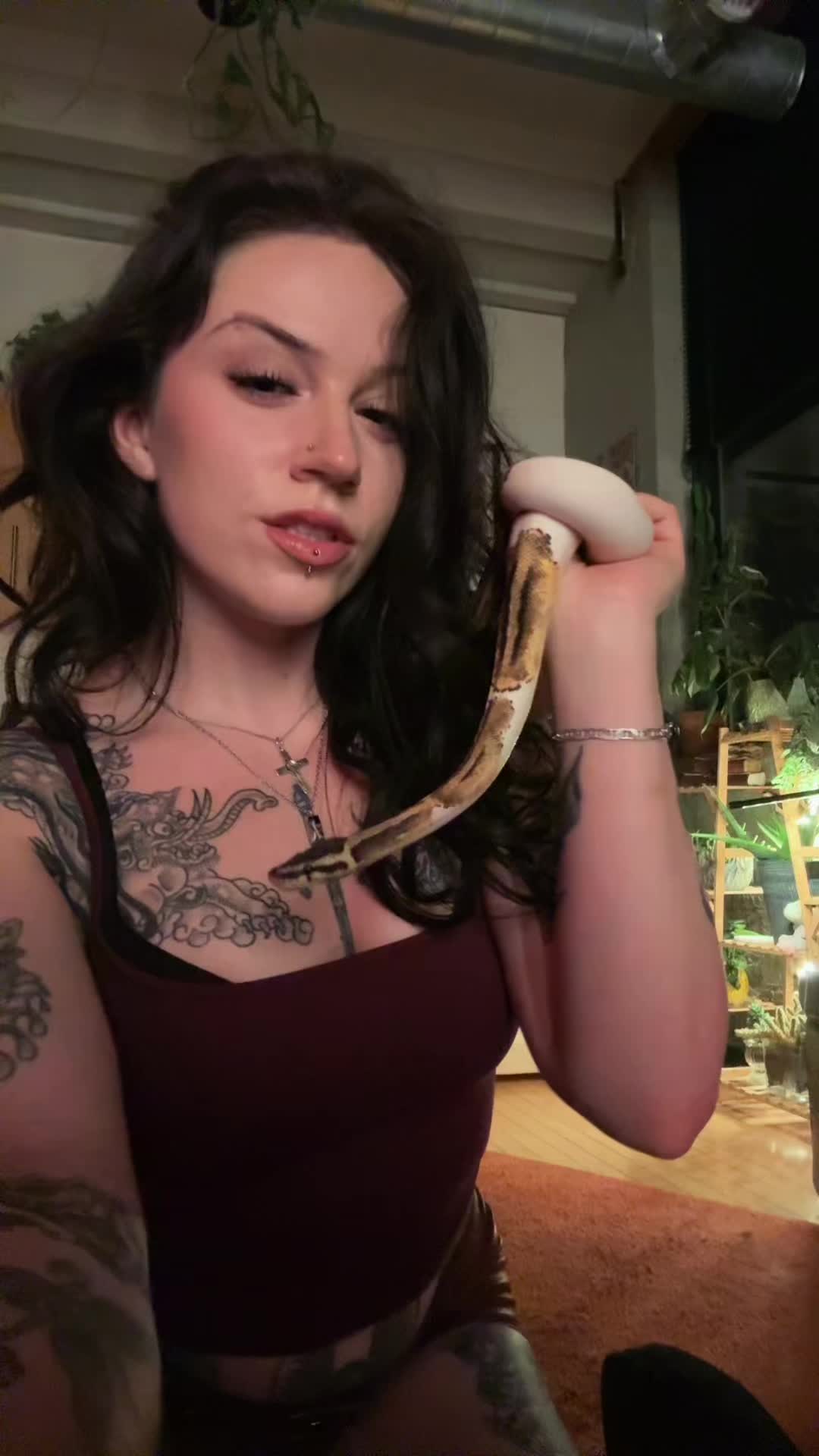 @liofied_