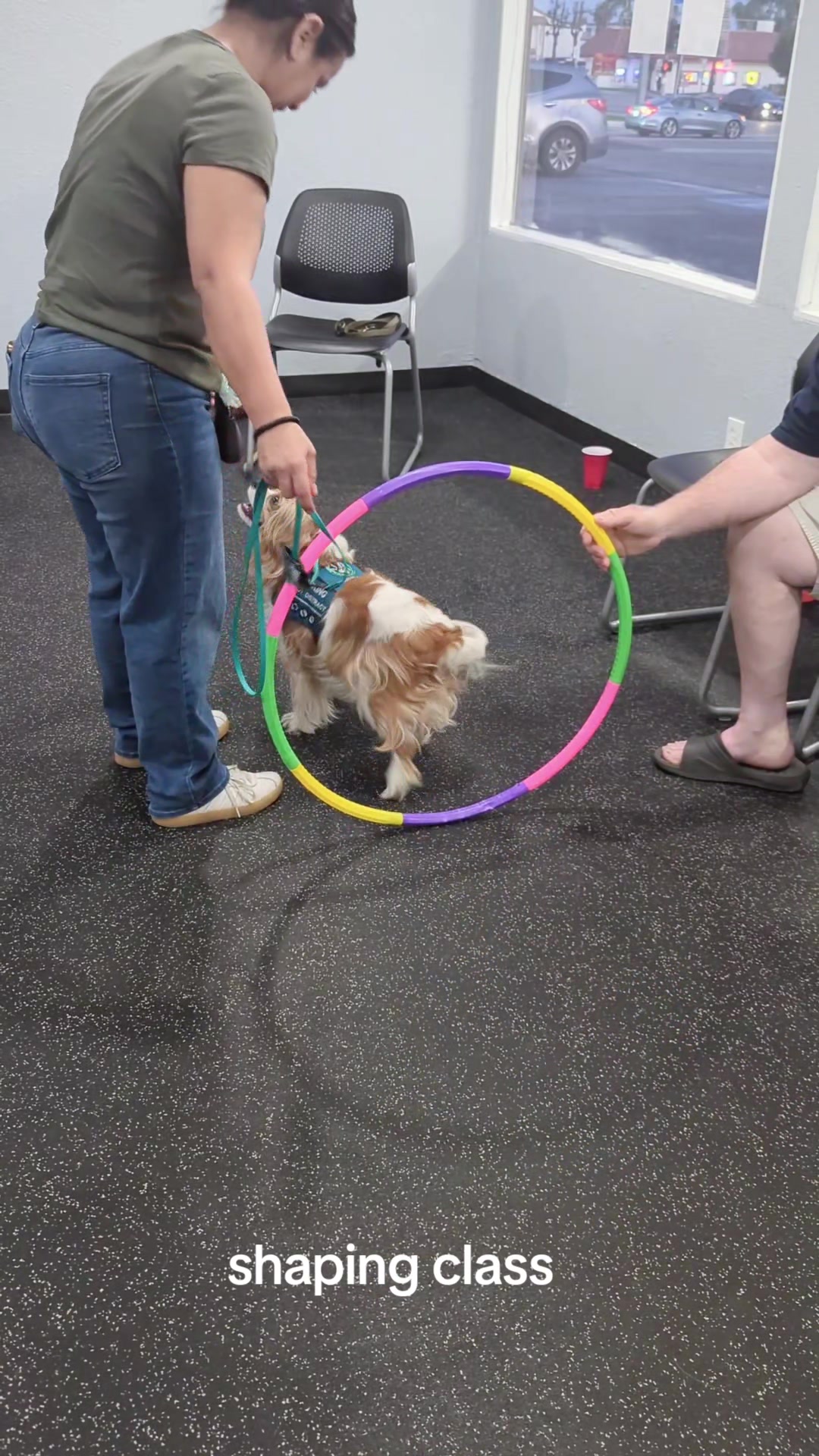 @South Paw Dog Training LLC