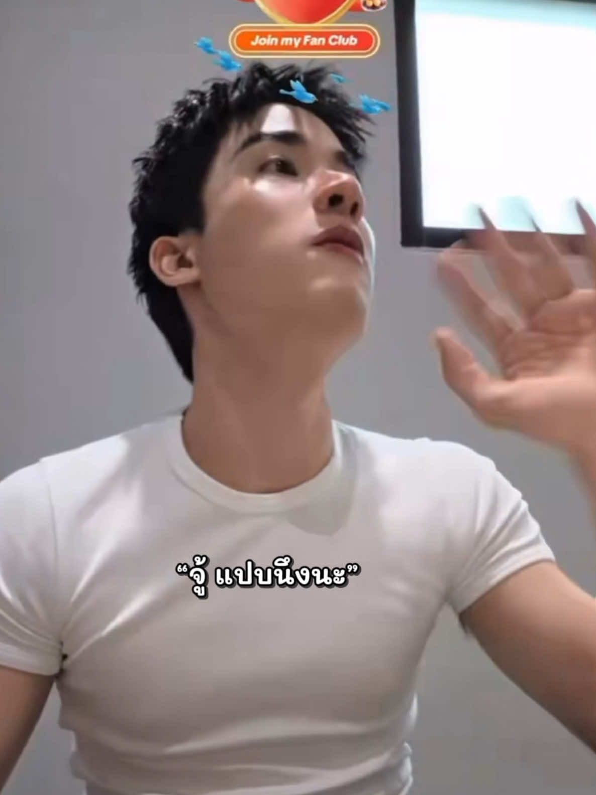 @qbold