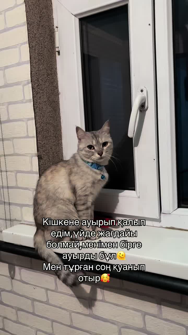 @boni04akx