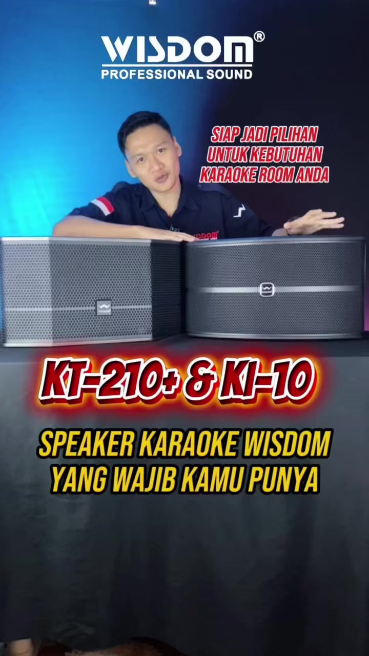 @Wisdom Pro Audio