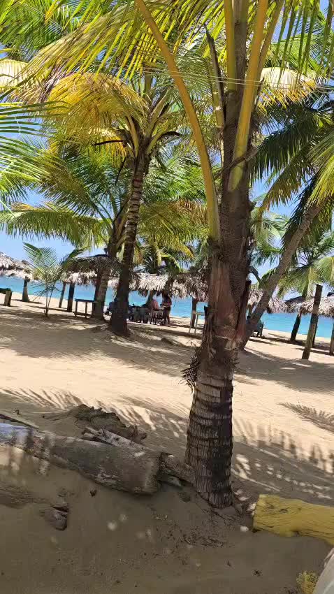 @Bachata y M&aacute;s