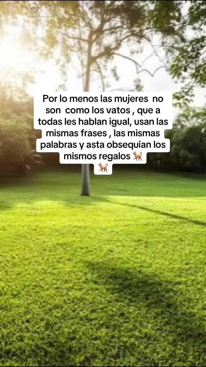 @Mina 🦋