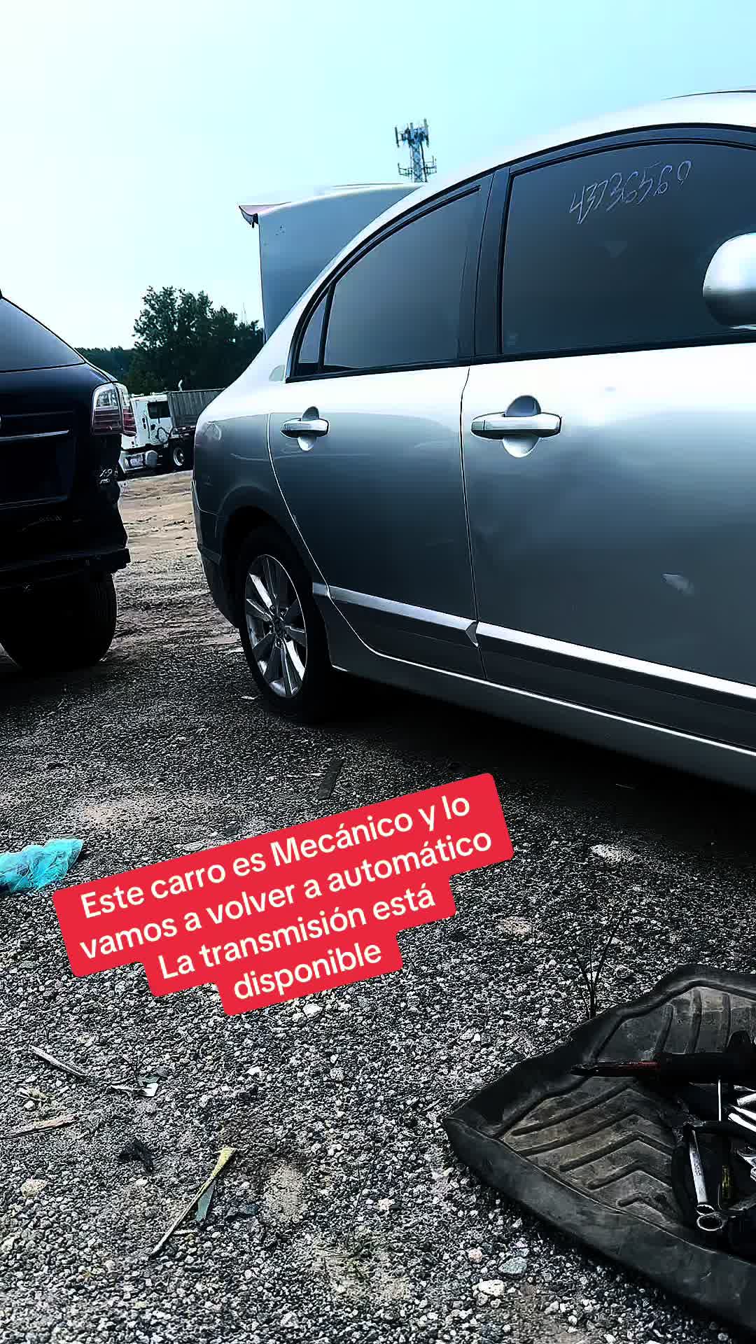 @estarli18