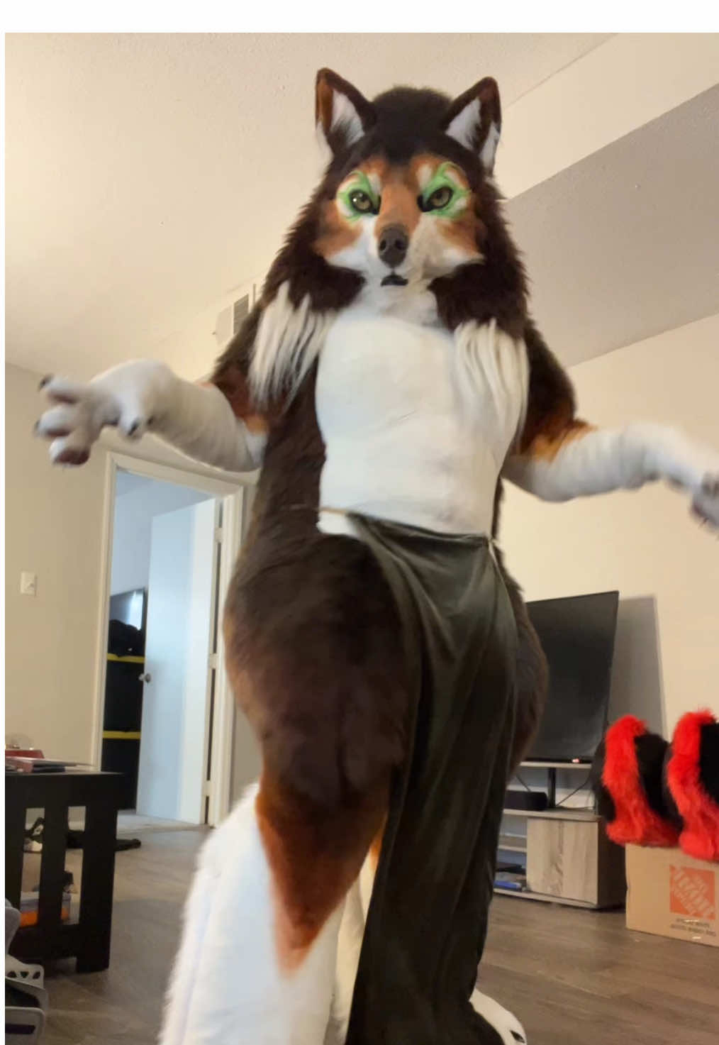 @Hazel Wolf