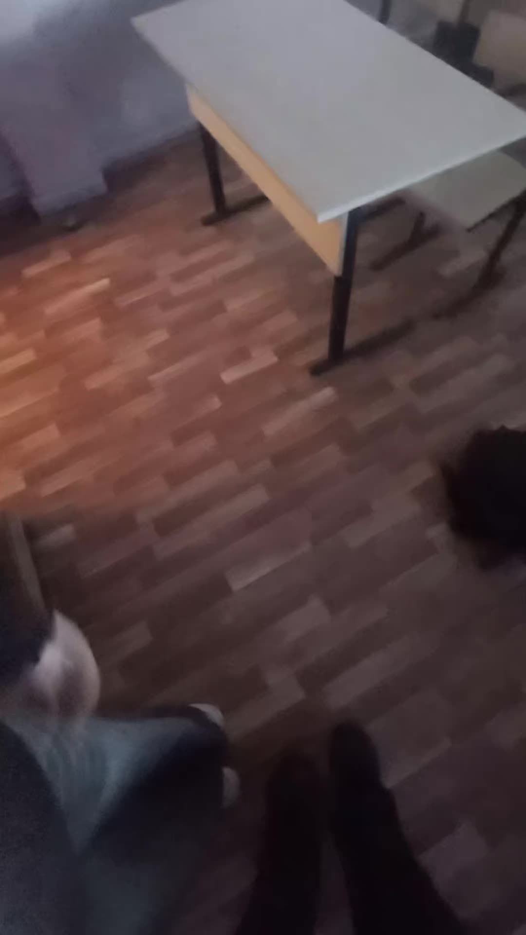 @гипотимия