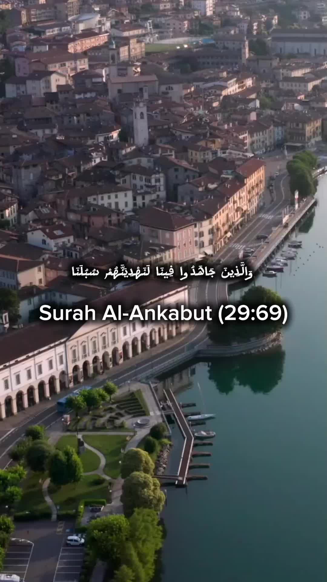 @Amjad