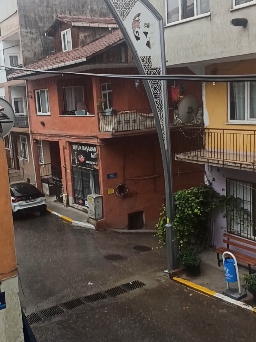 @🇹🇷҉͜͡✭TÜLAY/67//81🇹🇷҉͜͡✭