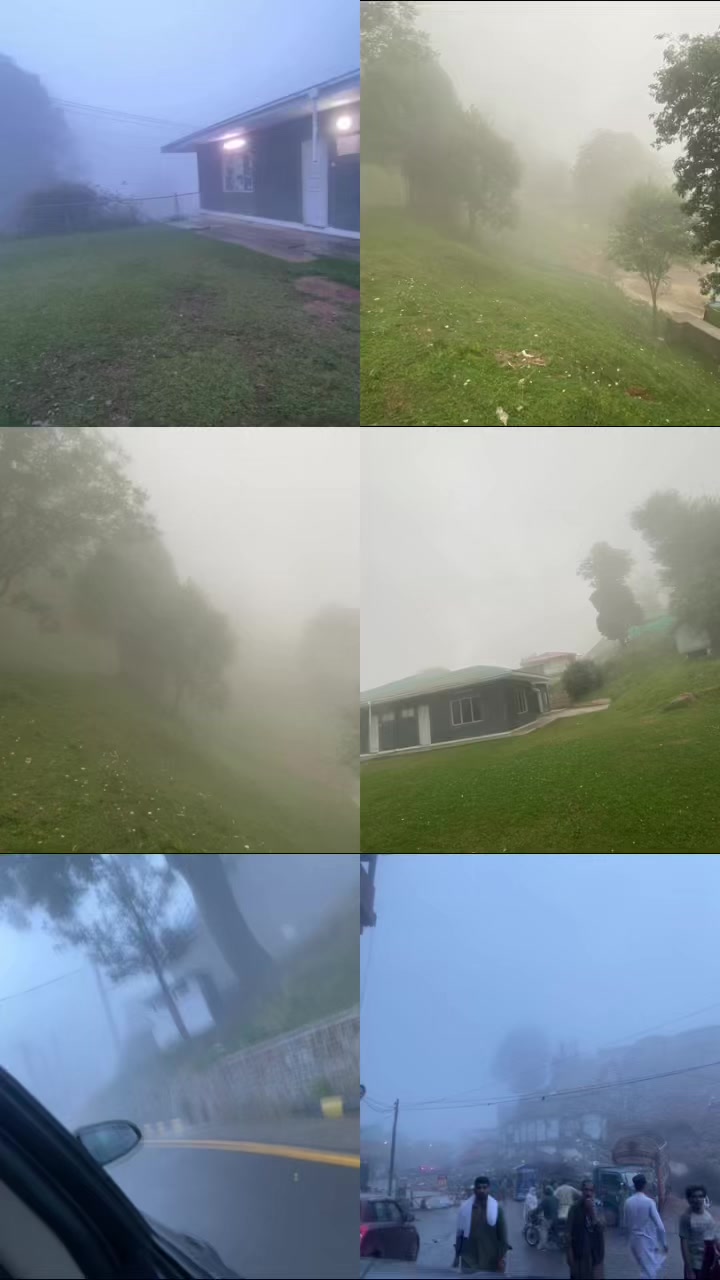 @Haya Hayat