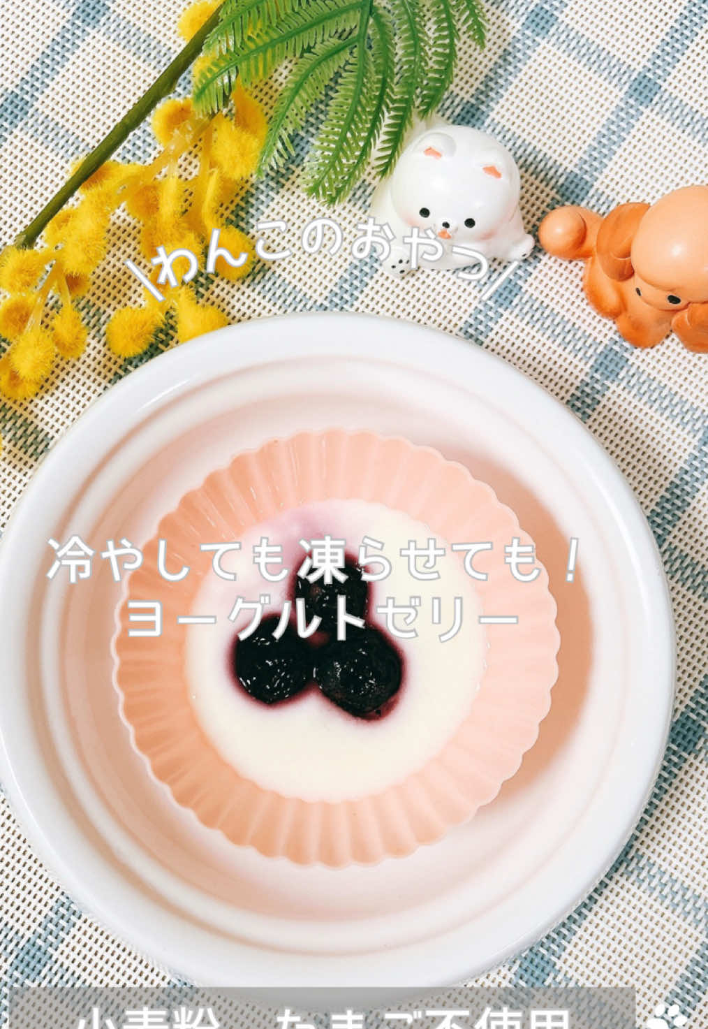 @ゆきえもん｜手作り愛犬おやつ