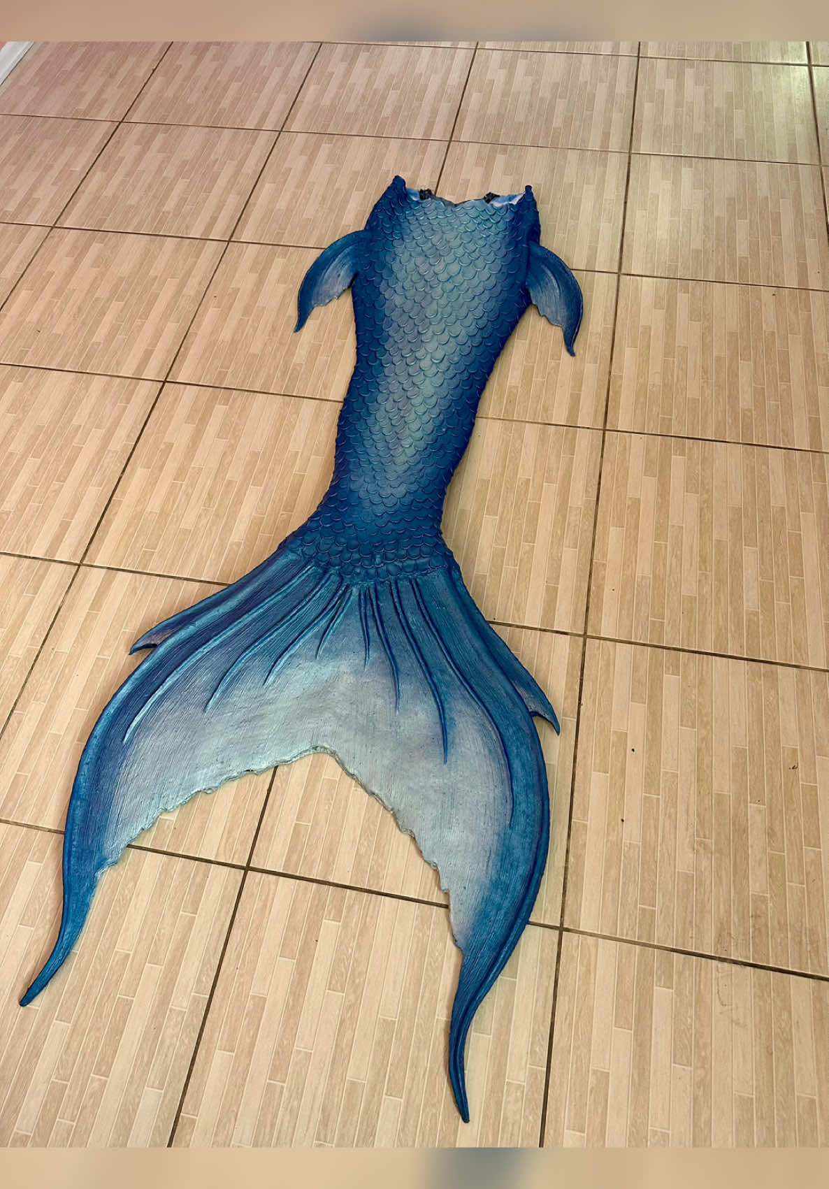 @SplashCaudas