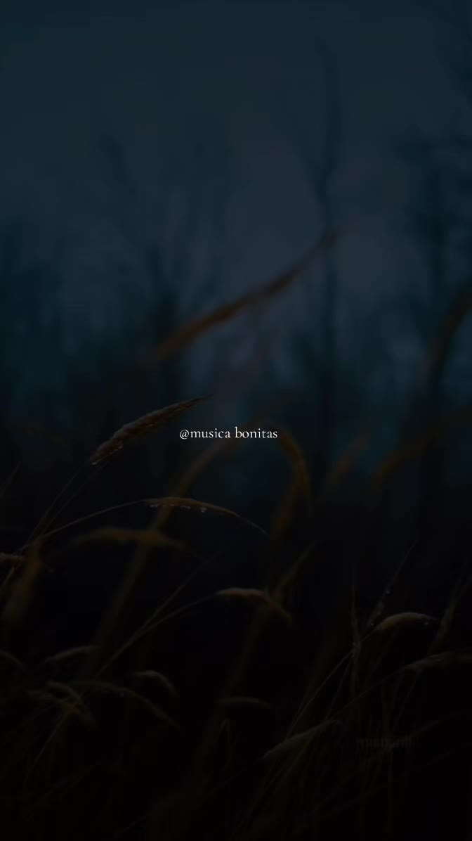 @tus m&uacute;sicas 🎧🎵