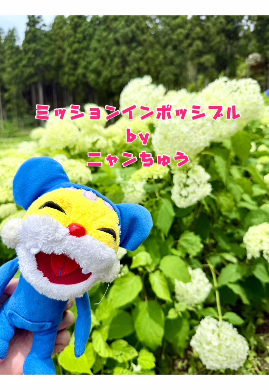 @micchon0809