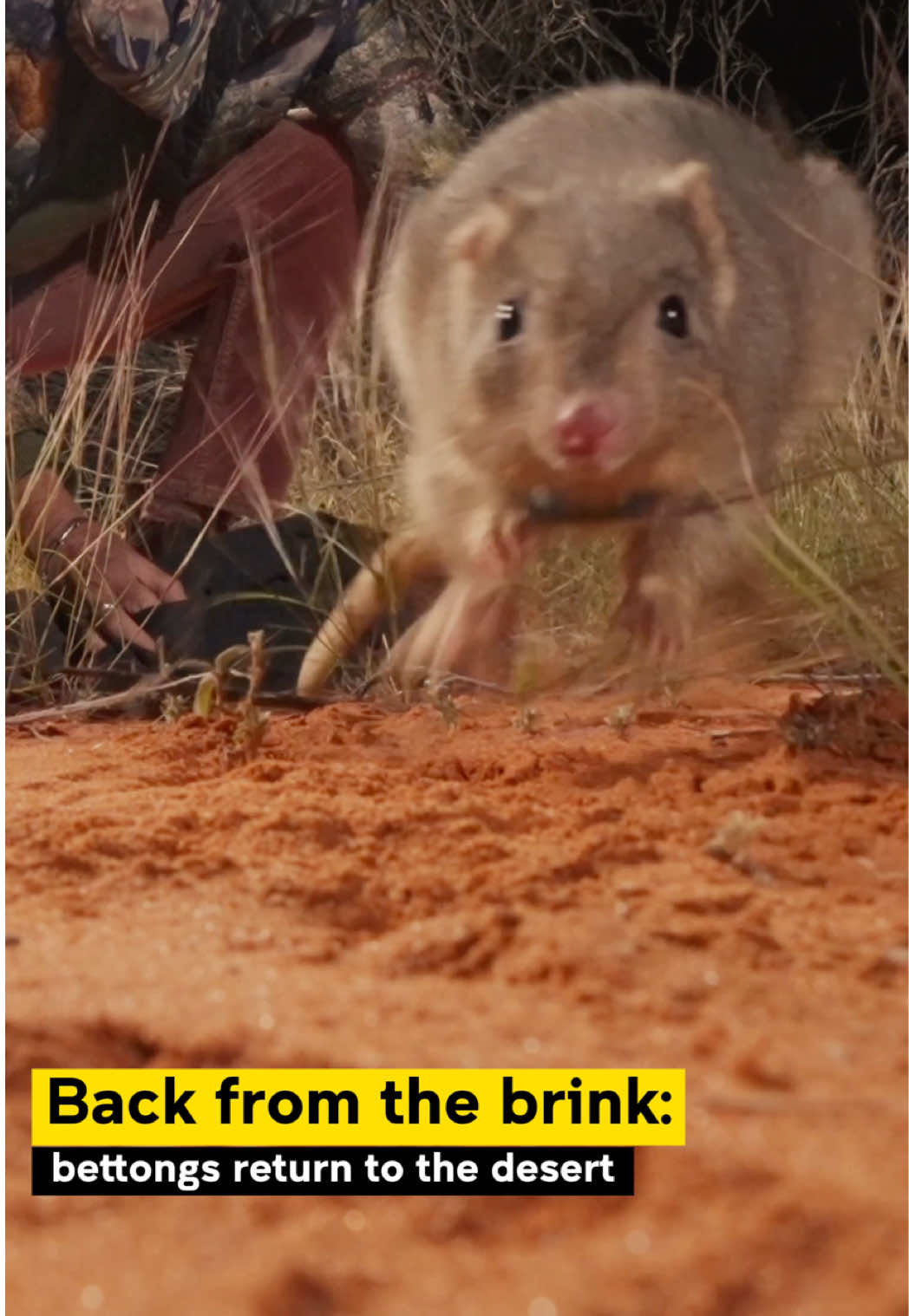 @UNSW