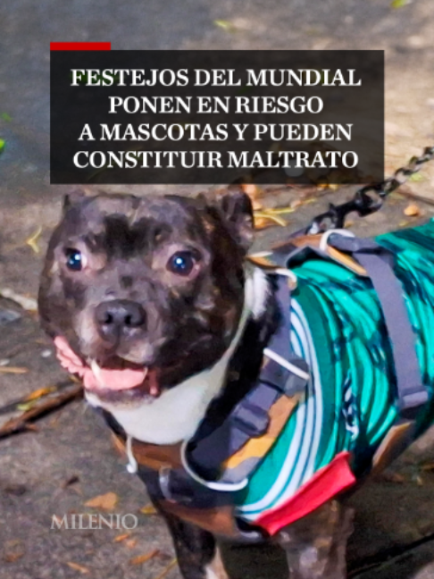 @MILENIO
