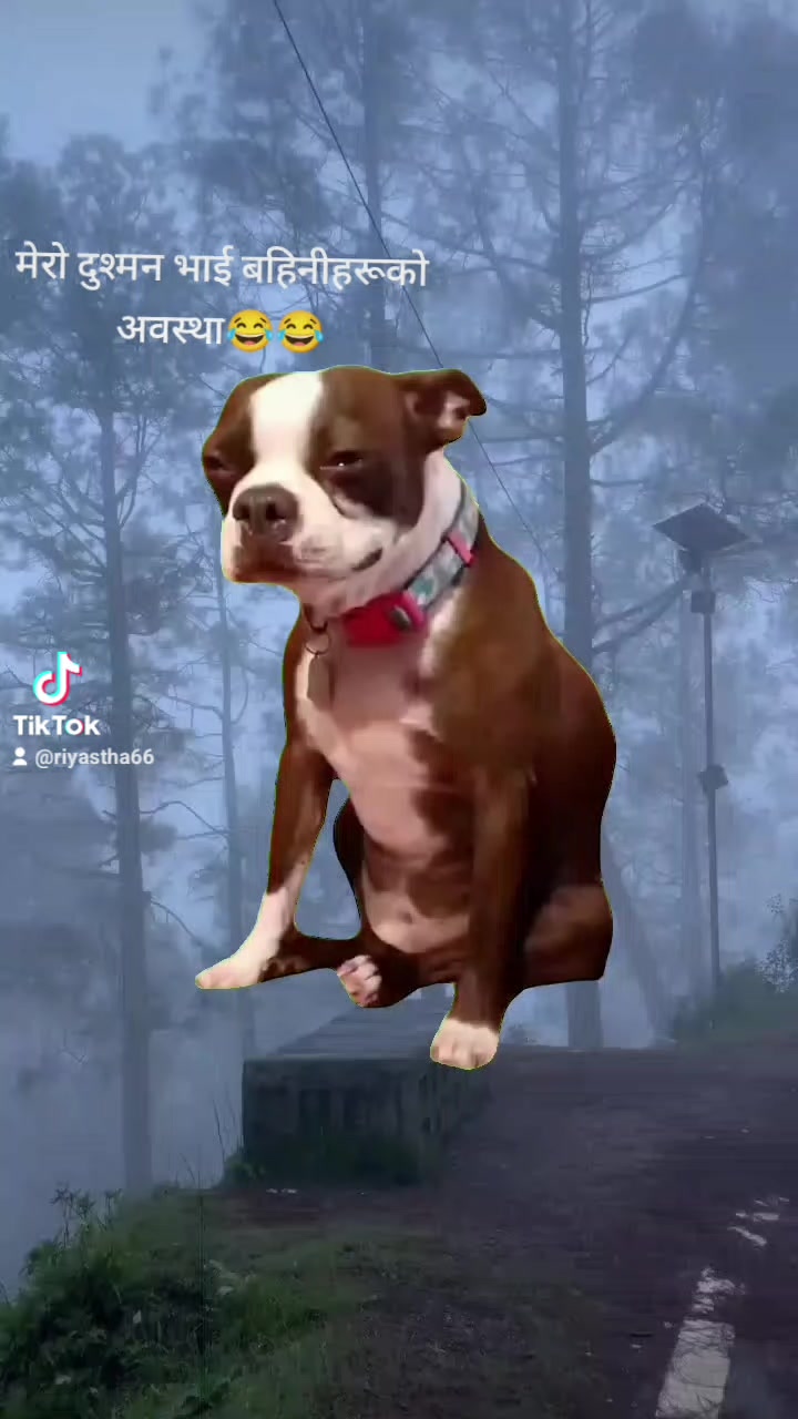 @Riya