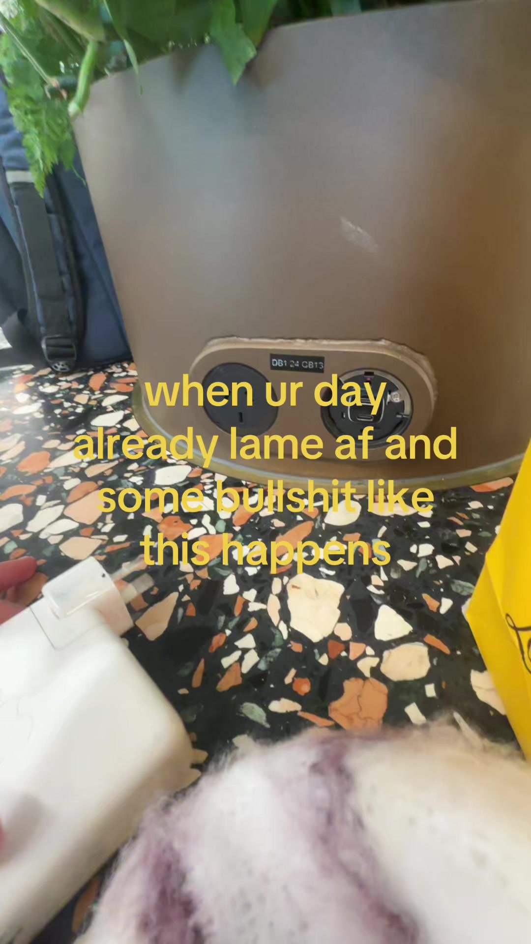 @aro 🎼