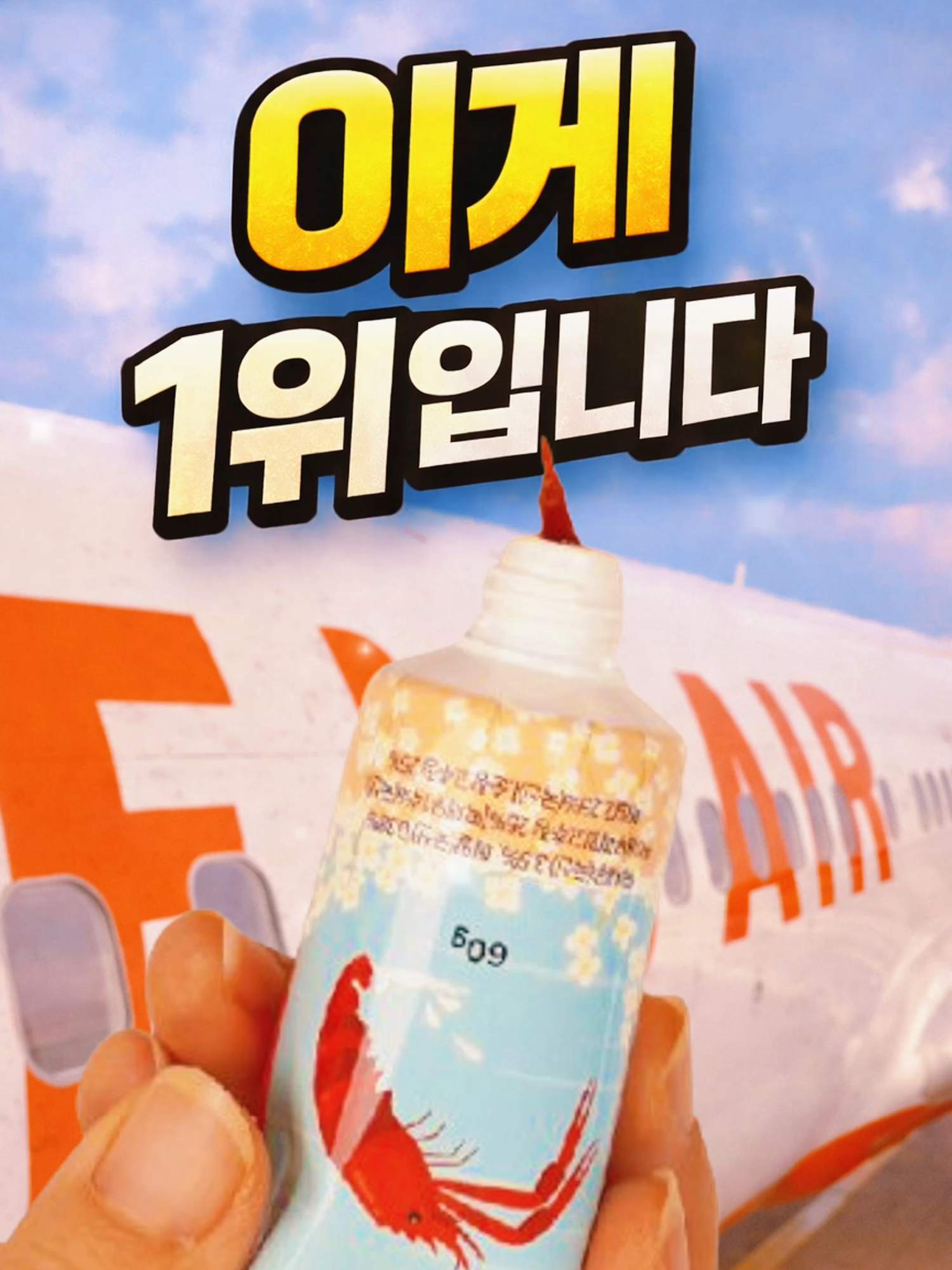 @예스준 - 세계일주 하는 직장인